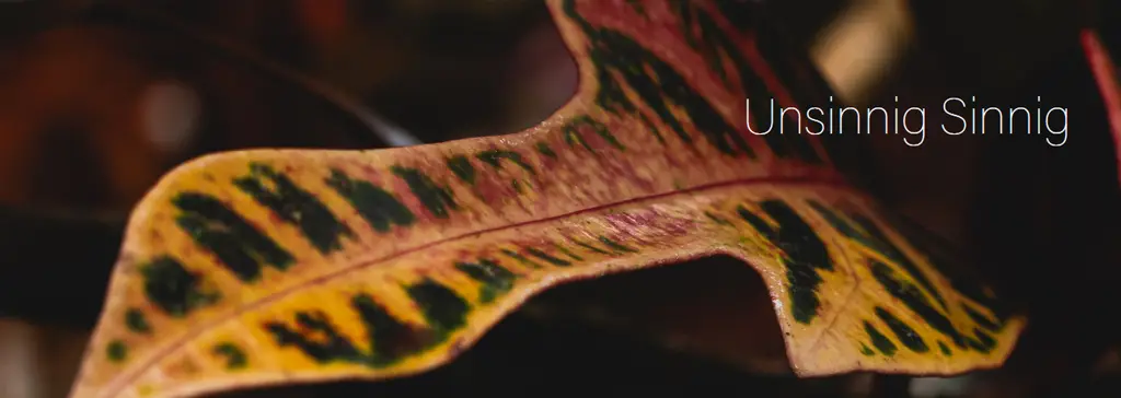 Nahaufnahme eines Herbstblatts mit gelber und grüner Musterung; unscharfer Hintergrund.