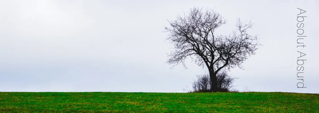 Kahler Baum links von einer grasbewachsenen, sanften Wiese unter hellem, wolkigem Himmel.