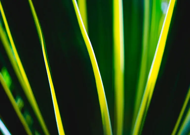 Abstrakte Nahaufnahme von grünen Pflanzenhalmen mit hellen, leuchtenden Kanten vor dunklem Hintergrund.